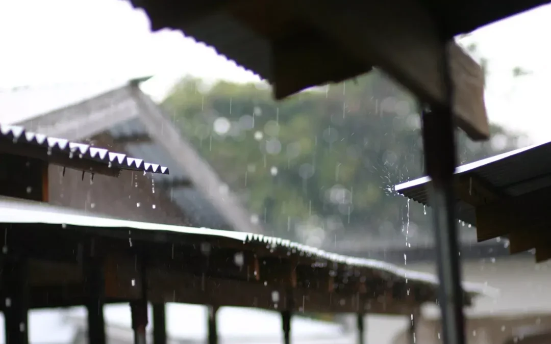 The Ultimate Guide to Waterproofing