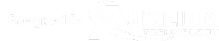 auxilium-technology